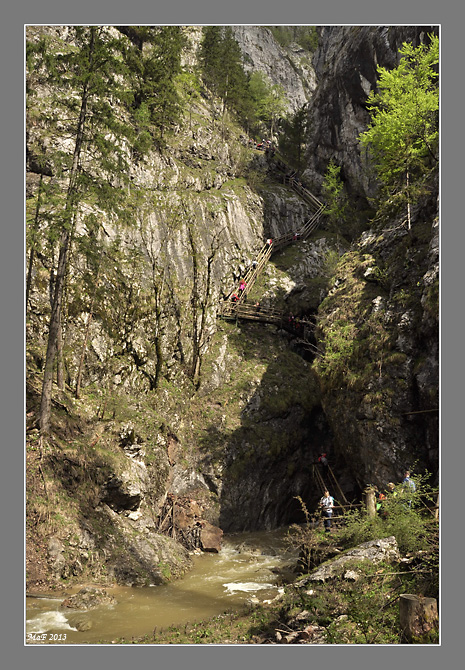 _DSC0004