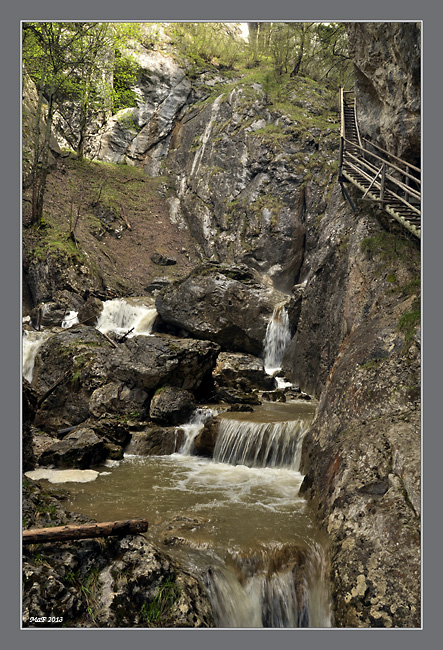 _DSC0025