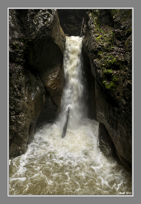 _DSC0041