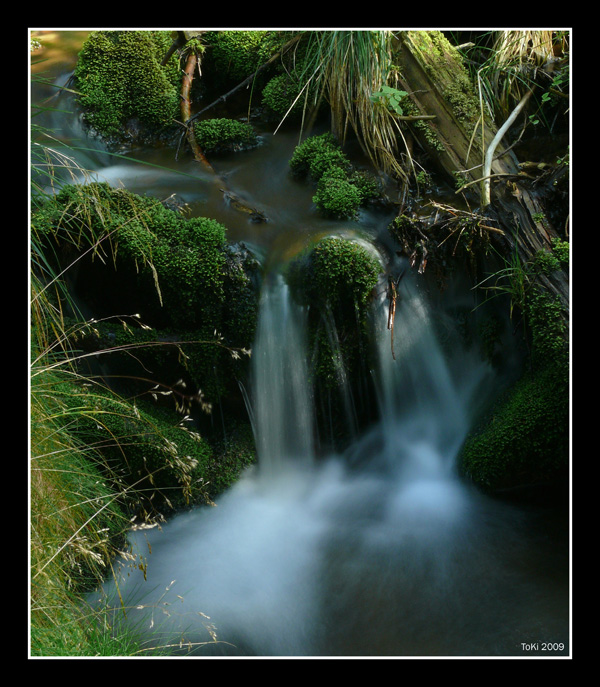 DPP_0003_21