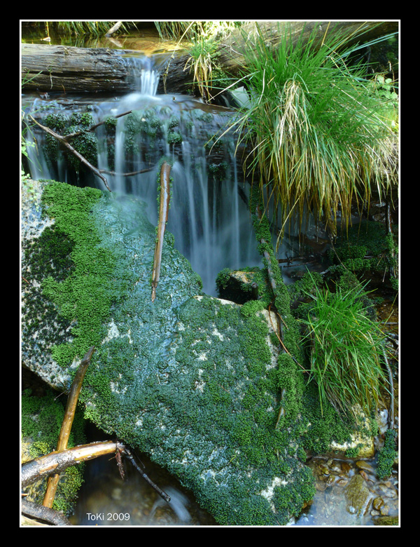 DPP_0003_22