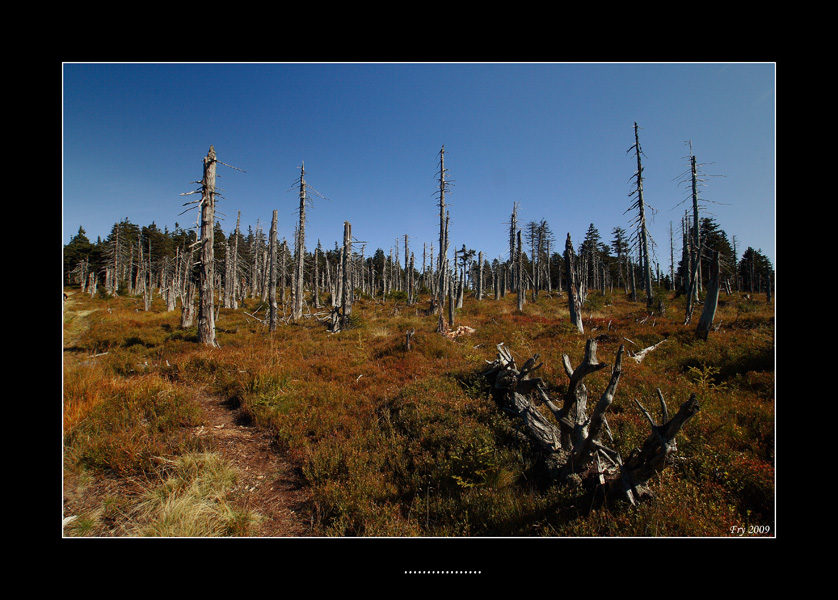 DPP_0004