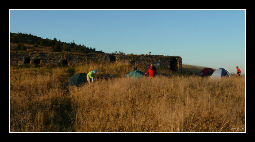 DPP_0006_11