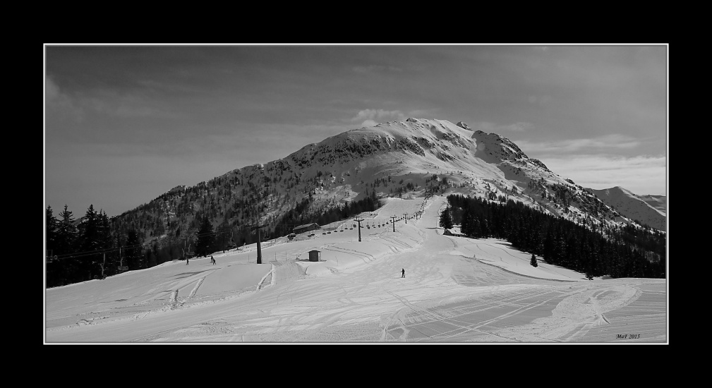 _DSC0170