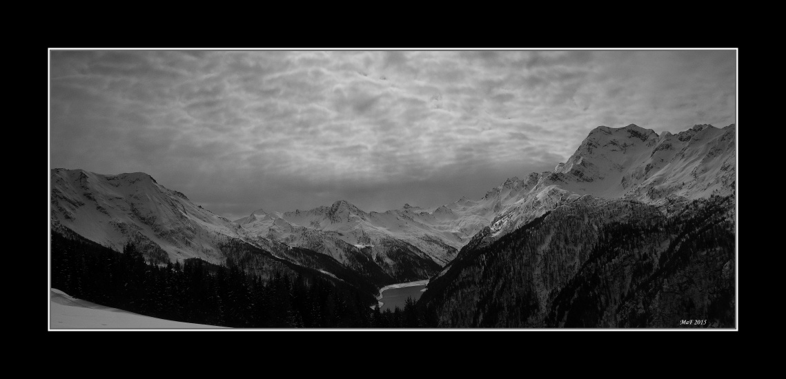 _DSC0176
