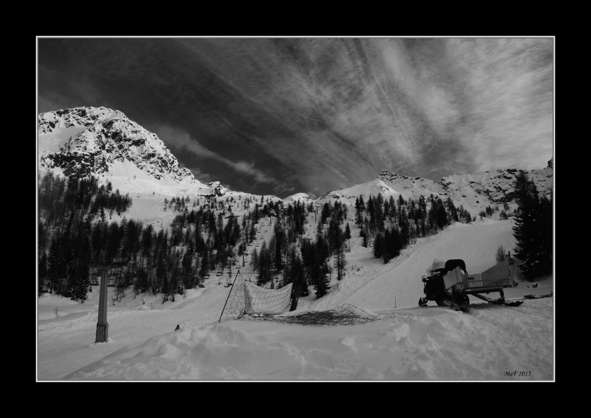 _DSC0208