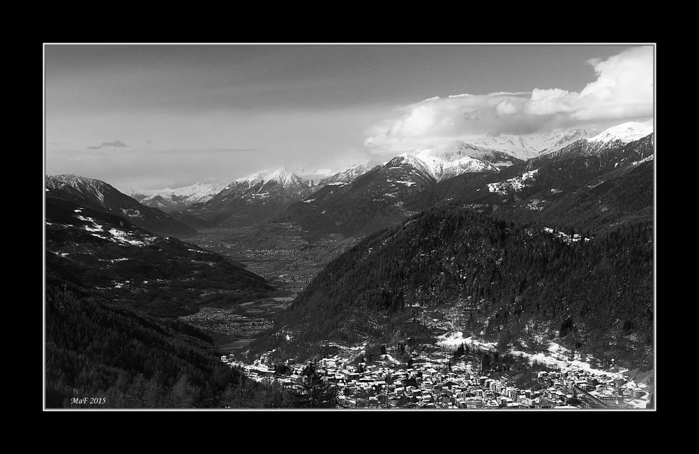 _DSC0261