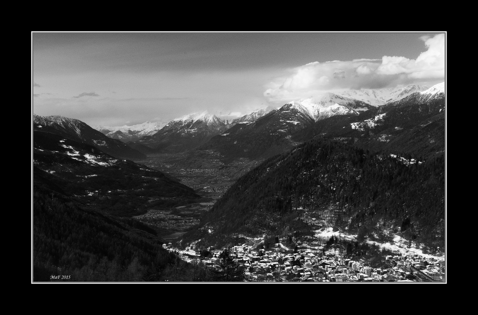 _DSC0262
