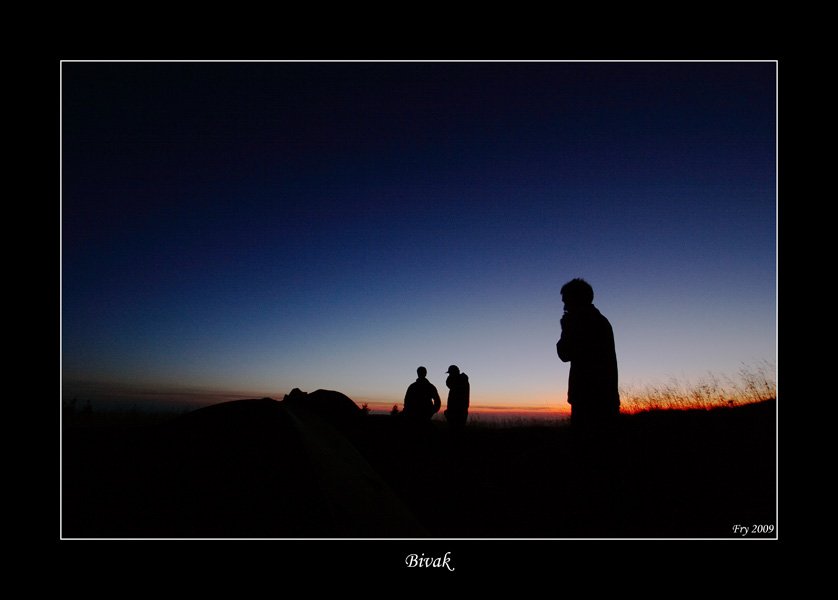 DPP_0013