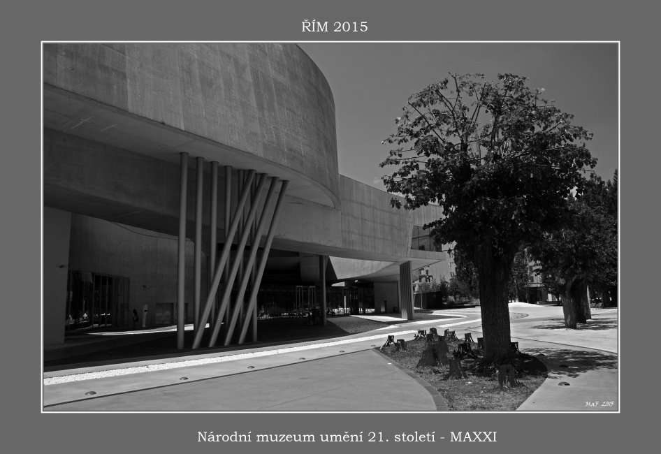 _DSC0418