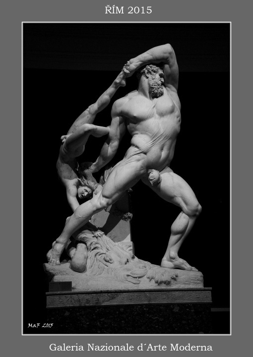 _DSC0499