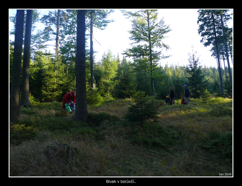 DPP_0034_3
