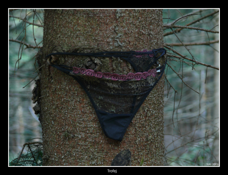 DPP_0034_4