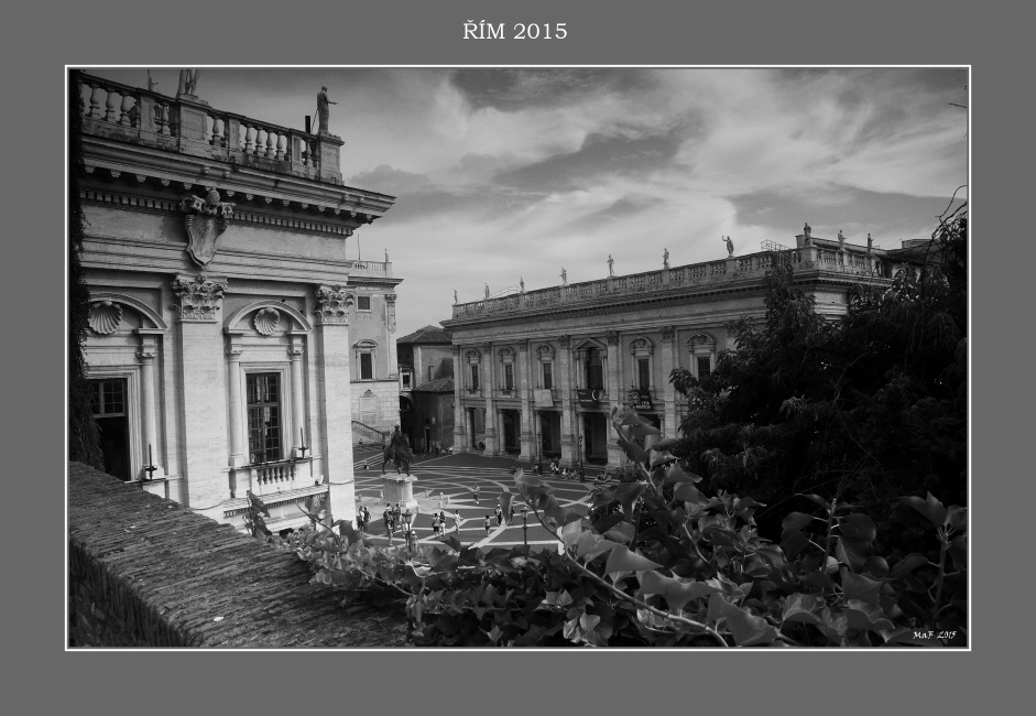_DSC0819