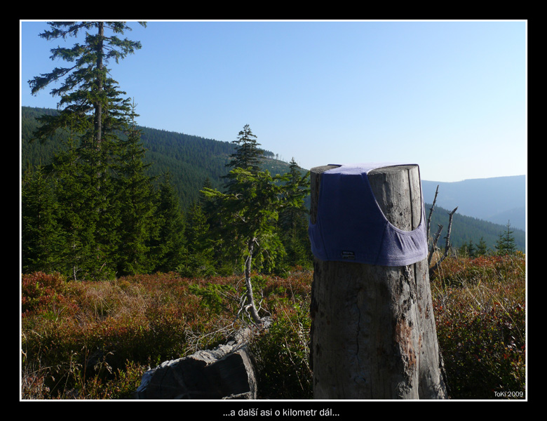 DPP_0034_5