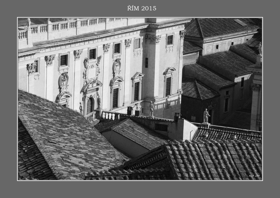 _DSC0859