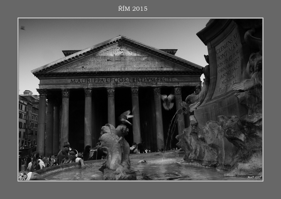 _DSC0986