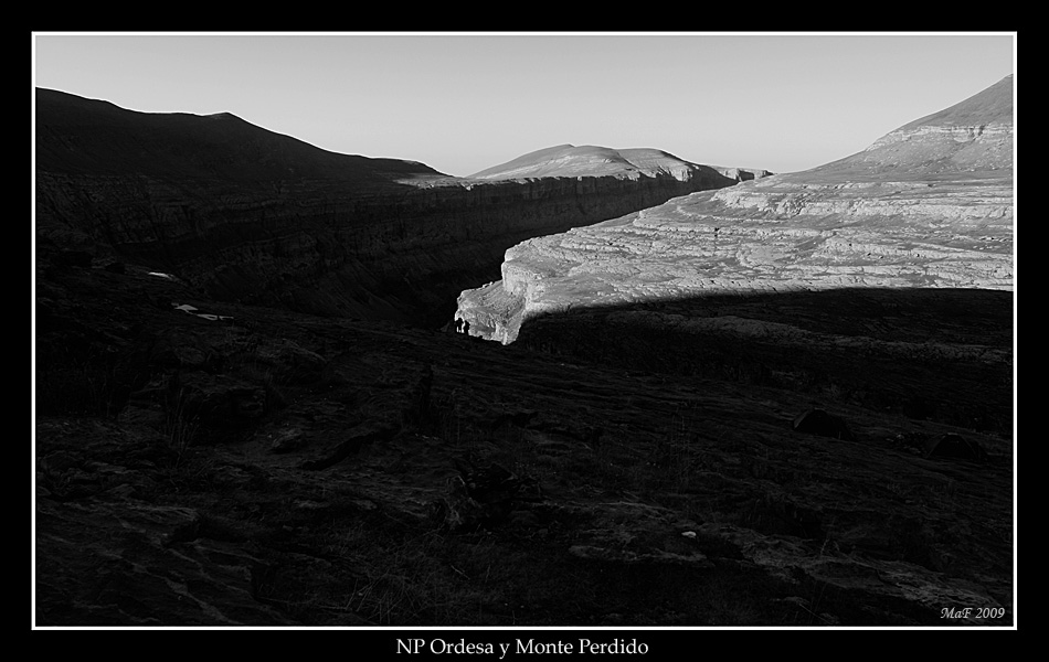 _MG_8608