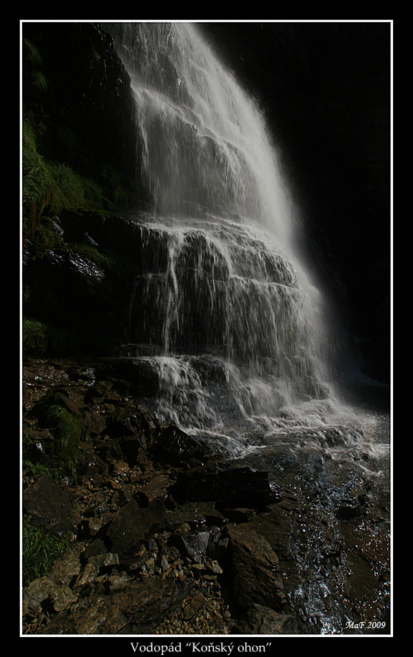 _MG_8646