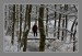 _DSC0216