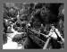 20130504_112007(0)