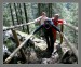 SAM_0425